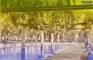 PALIKAO 500  PERGOLA